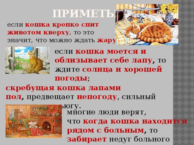 Приметы на кухне