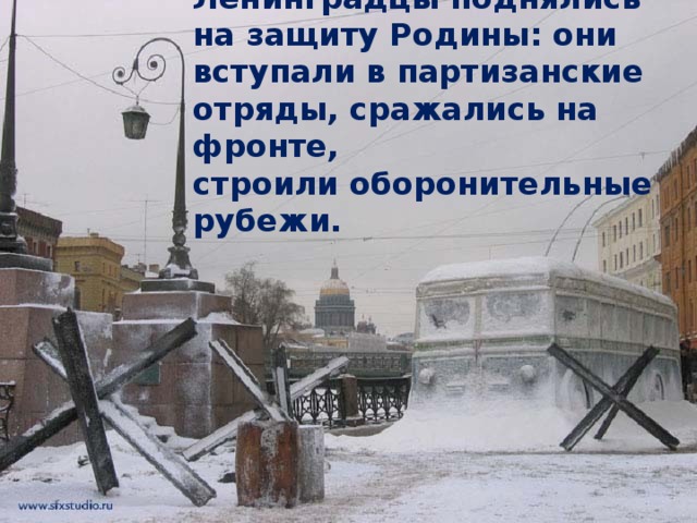 Ленинградцы поднялись на защиту Родины: они вступали в партизанские отряды, сражались на фронте,  строили оборонительные рубежи. 