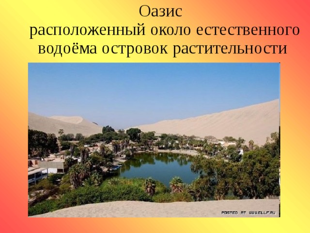 Оазис  расположенный около естественного водоёма островок растительности посреди пустыни.