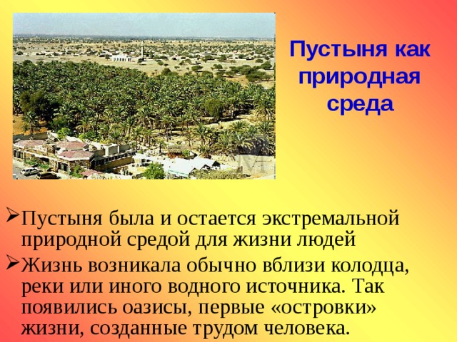 Пустыня как природная среда