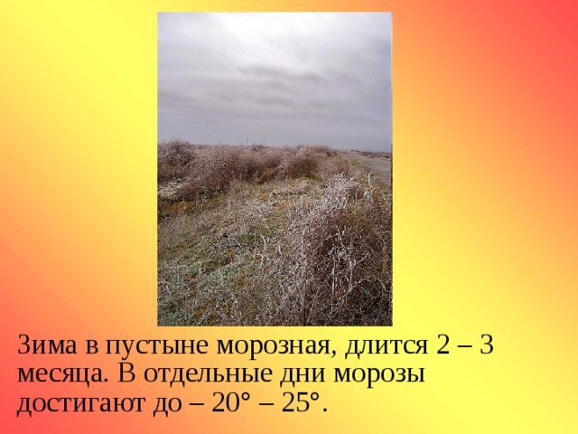 Зима в пустыне морозная, длится 2 – 3 месяца. В отдельные дни морозы достигают до – 20 ° – 25 ° .