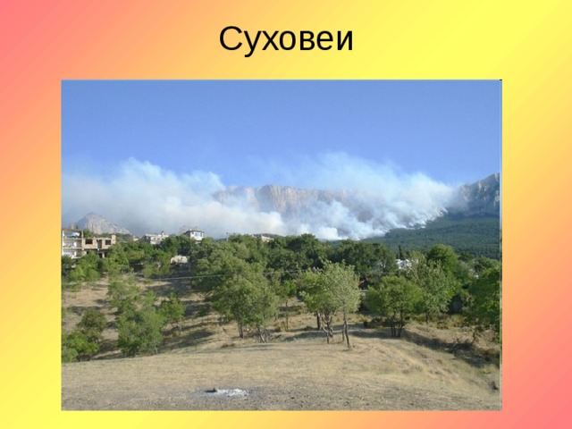Суховеи