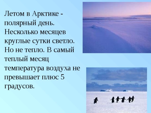 Самый теплый месяц. Летом в Арктике Полярный день. Летом в Арктике Полярный день несколько месяцев круглые сутки. Летом в Арктике Полярный день несколько месяцев. Летом в Арктике Полярный день несколько месяцев круглые сутки светло.