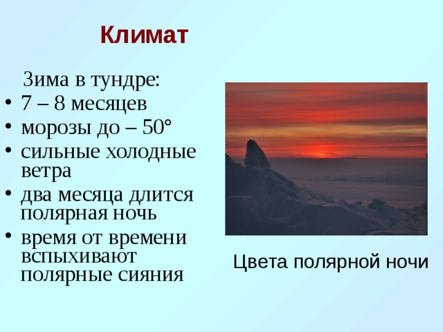 Сколько месяцев в тундре длится полярная ночь