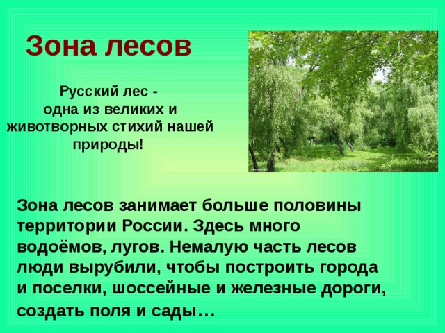 Презентация по окружающему миру 4 класс леса россии