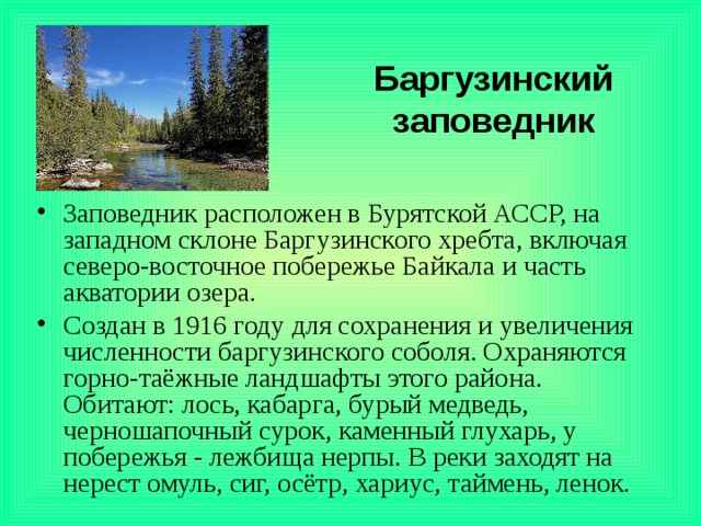 Заповедники лесной зоны. Баргузинский заповедник природная зона. Рассказ о заповеднике.