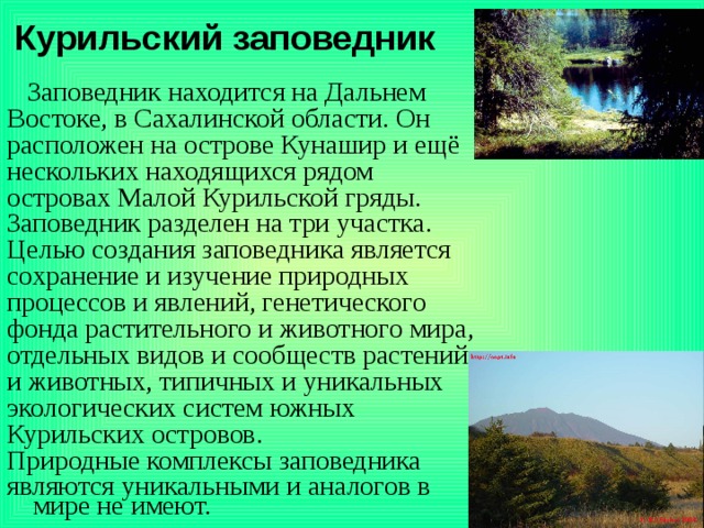 Название заповедников в зоне лесов. Курильский заповедник Сахалинской области. Заповедники дальнего Востока. Курильский заповедник презентация.