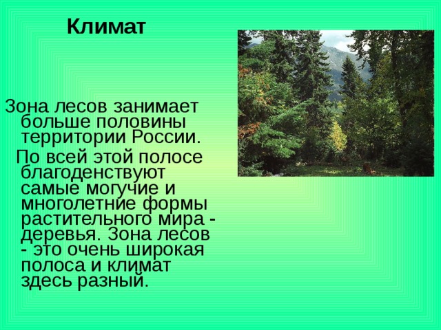 Лесная зона занимает большую часть климатического. Климат зоны лесов. Лесная зона. Сообщение на тему леса России. Леса России доклад.