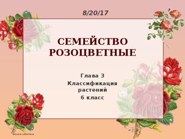 Презентация розоцветные 6 класс