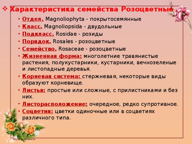 Описание семейства розоцветных по плану 6 класс биология