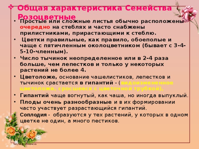 Описание семейства розоцветных по плану 6 класс биология