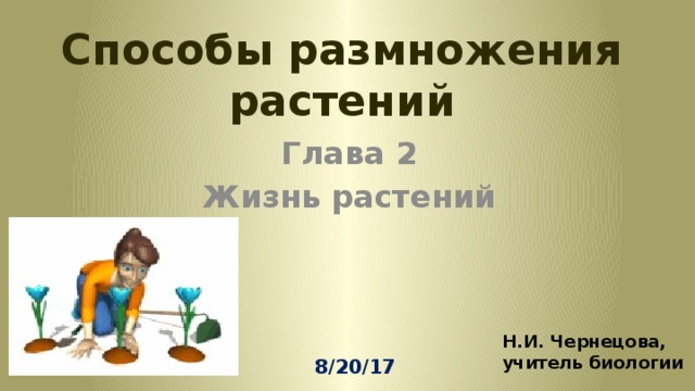 Способы размножения растений Глава 2 Жизнь растений Н.И. Чернецова, учитель биологии 