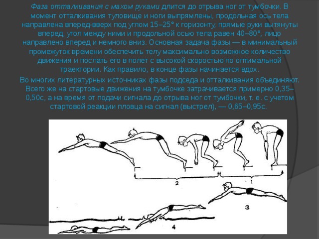 Начальное движение. Фаза отталкивания с махом руками. Фаза отталкивания старт с тумбы. Фаза отталкивания в воду. Куда направлены руки в конце фазы отталкивания?.