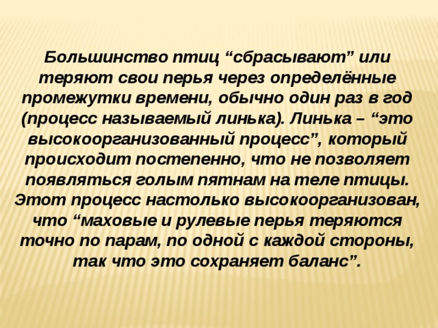 Чем всю жизнь таскать ребенка на спине через реку лучше один раз научить его плавать