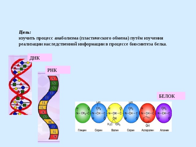 Наследственная информация в белках