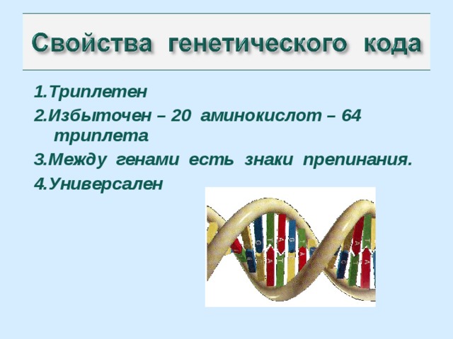 1.Триплетен 2.Избыточен – 20 аминокислот – 64 триплета 3.Между генами есть знаки препинания. 4.Универсален   