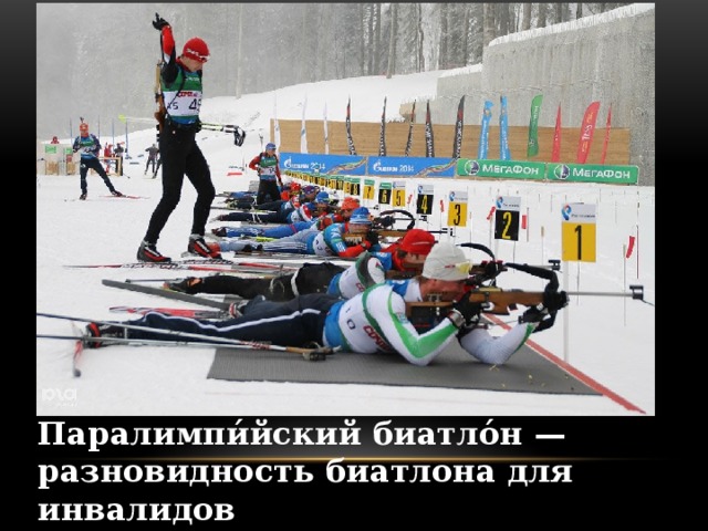 Паралимпи́йский биатло́н — разновидность биатлона для инвалидов . 