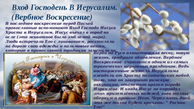 Вход Господень В Иерусалим. (Вербное Воскресение) В последнее воскресение перед Пасхой православные вспоминают Вход Господа Иисуса Христа в Иерусалим. Иисус въехал в город на осле (это животное было эмблемой мира). Люди встречали Его с ликованием, расстилали на дороге свои одежды и пальмовые ветви, которые в православной традиции заменили на вербу. Верба на Руси олицетворяла весну, новую жизнь, грядущее обновление. Вербное Воскресение считается одним из самых трагических церковных праздников. Ведь восторженные жители Иерусалима ожидали от Христа политических побед, того, что он завершит римскую оккупацию, отомстит врагам народа Израилева. И когда Иисус не оправдал этих приземлённых надежд, гнев толпы обернулся против Него. Через пять дней эта же толпа будет кричать: “ Распни Его!” 
