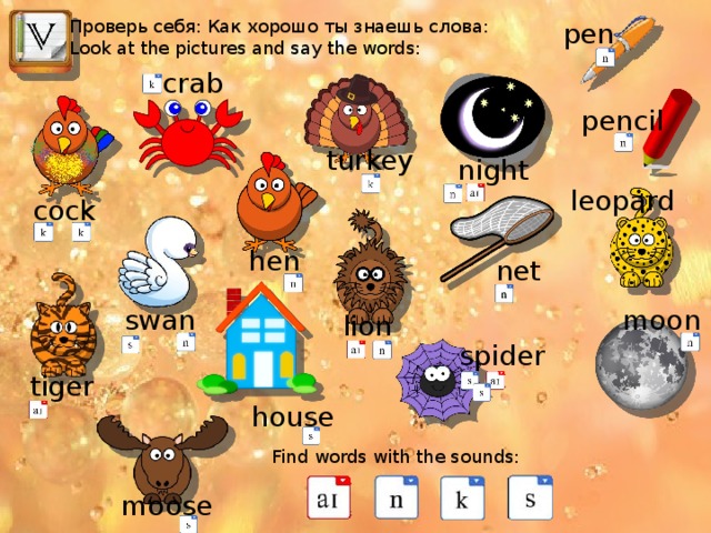 Проверь себя: Как хорошо ты знаешь слова: Look at the pictures and say the words: pen crab pencil turkey night leopard cock hen net swan moon lion spider tiger house Find words with the sounds: moose 