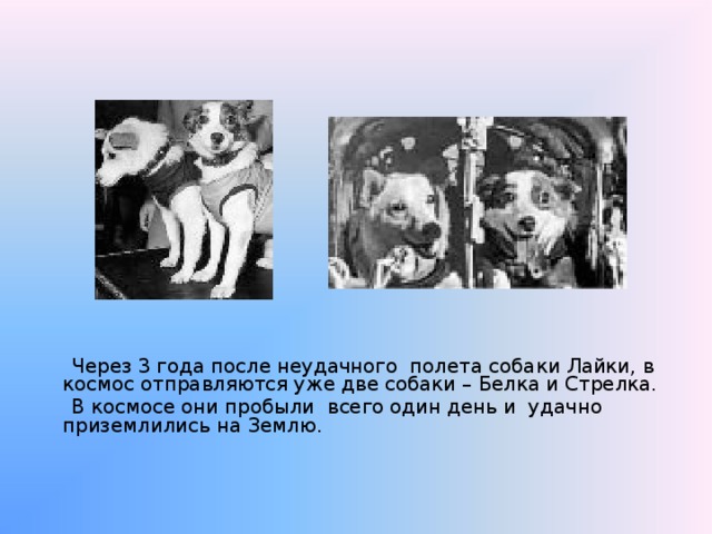 Через 3 года после неудачного полета собаки Лайки, в космос отправляются уже две собаки – Белка и Стрелка.  В космосе они пробыли всего один день и удачно приземлились на Землю. 