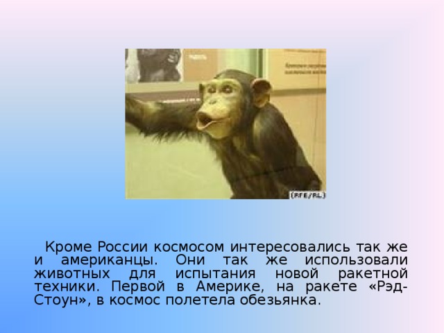  Кроме России космосом интересовались так же и американцы. Они так же использовали животных для испытания новой ракетной техники. Первой в Америке, на ракете «Рэд-Стоун», в космос полетела обезьянка. 