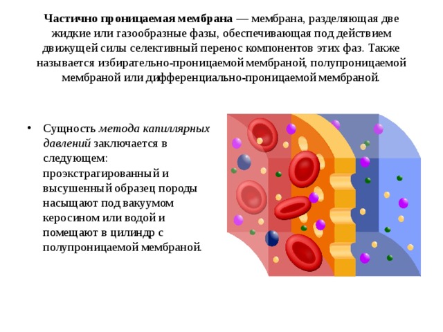 Почему мембрана. Частично проницаемая мембрана. Селективно-проницаемые мембраны. Какие частицы крови могут проникать через полупроницаемую мембрану:. Проницаемая.