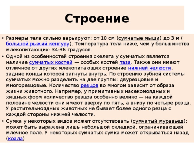 Бывало как досыта набегаешься внизу по зале