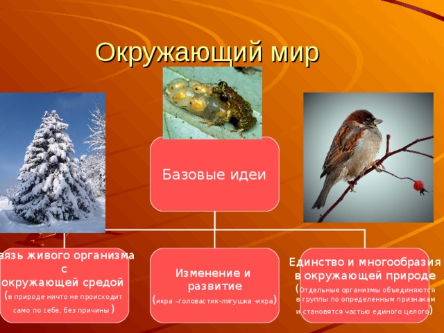 Окружающий мир Базовые идеи Связь живого организма с окружающей средой ( в природе ничто не происходит само по себе, без причины ) Изменение и развитие ( икра –головастик-лягушка -икра ) Единство и многообразия в окружающей природе ( Отдельные организмы объединяются  в группы по определенным признакам и становятся частью единого целого ) 