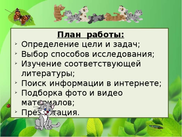 План работы: Определение цели и задач; Выбор способов исследования; Изучение соответствующей литературы; Поиск информации в интернете; Подборка фото и видео материалов; Презентация. 