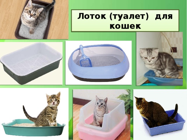 Лоток (туалет) для кошек 