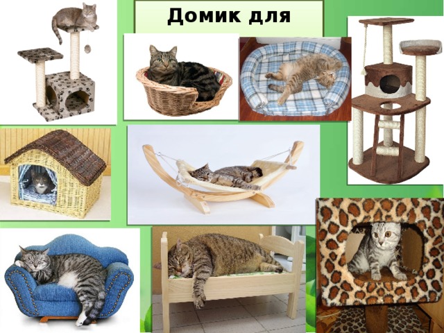 Домик для кота…. 