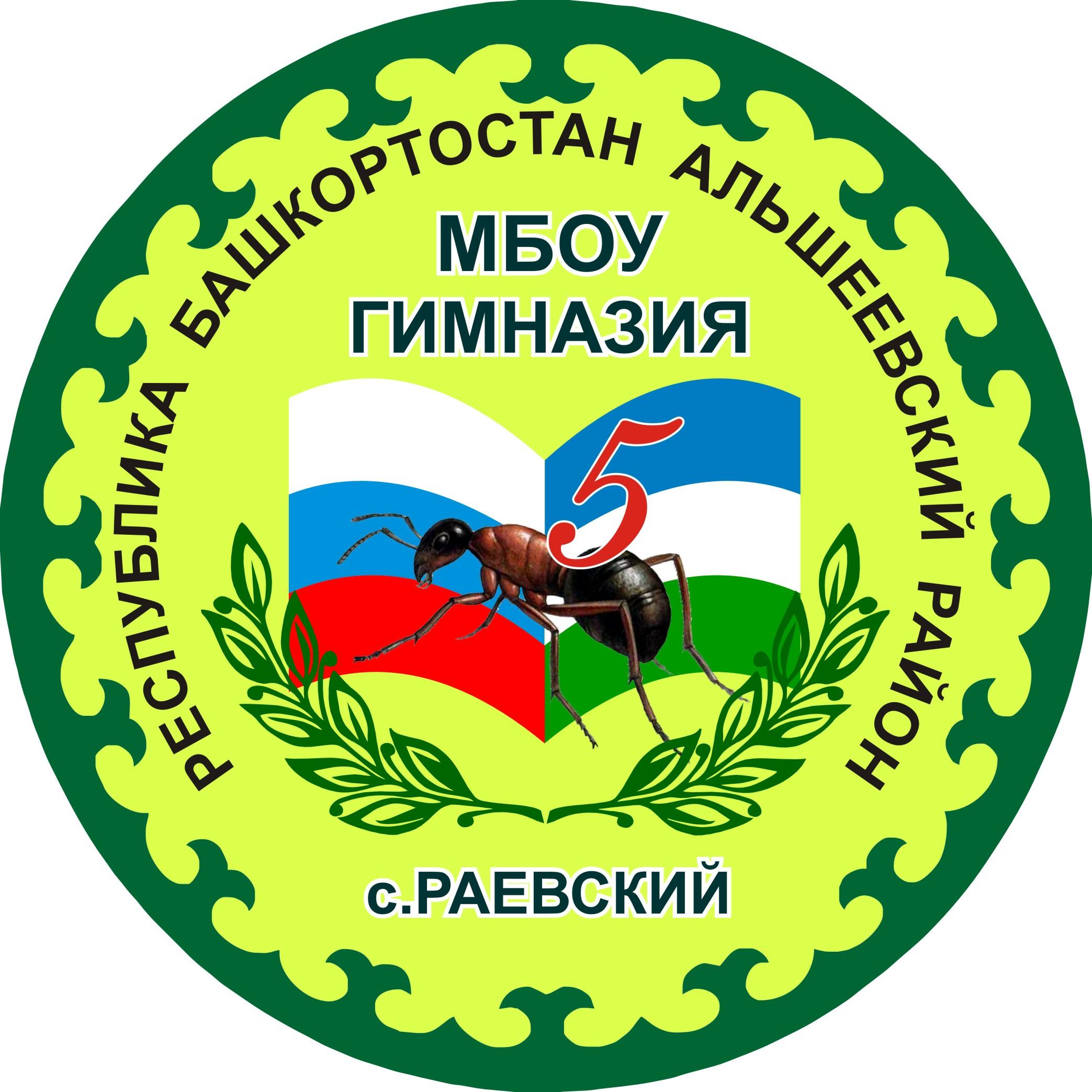 Мбоу гимназия. Гимназия с Раевский Альшеевский район. Гимназия 3 села Раевский Альшеевский район. Герб Альшеевского района. Школа Раевский гимназия.