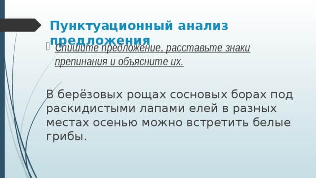 В березовых рощах сосновых борах под раскидистыми лапами елей растет белый гриб схема предложения