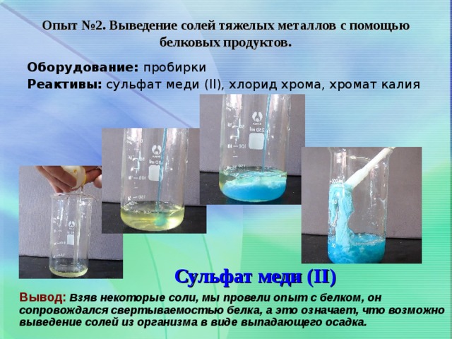 Опыт №2. Выведение солей тяжелых металлов с помощью белковых продуктов.   Оборудование: пробирки Реактивы: сульфат меди ( II ), хлорид хрома, хромат калия Сульфат меди ( II )  Вывод: Взяв некоторые соли, мы провели опыт с белком, он сопровождался свертываемостью белка, а это означает, что возможно выведение солей из организма в виде выпадающего осадка.