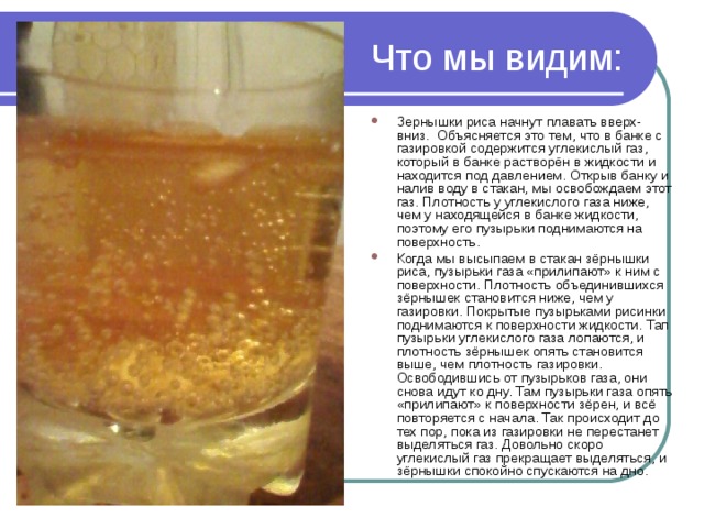 Что мы видим: Зернышки риса начнут плавать вверх- вниз. Объясняется это тем, что в банке с газировкой содержится углекислый газ, который в банке растворён в жидкости и находится под давлением. Открыв банку и налив воду в стакан, мы освобождаем этот газ. Плотность у углекислого газа ниже, чем у находящейся в банке жидкости, поэтому его пузырьки поднимаются на поверхность. Когда мы высыпаем в стакан зёрнышки риса, пузырьки газа «прилипают» к ним с поверхности. Плотность объединившихся зёрнышек становится ниже, чем у газировки. Покрытые пузырьками рисинки поднимаются к поверхности жидкости. Тап пузырьки углекислого газа лопаются, и плотность зёрнышек опять становится выше, чем плотность газировки. Освободившись от пузырьков газа, они снова идут ко дну. Там пузырьки газа опять «прилипают» к поверхности зёрен, и всё повторяется с начала. Так происходит до тех пор, пока из газировки не перестанет выделяться газ. Довольно скоро углекислый газ прекращает выделяться, и зёрнышки спокойно спускаются на дно.  
