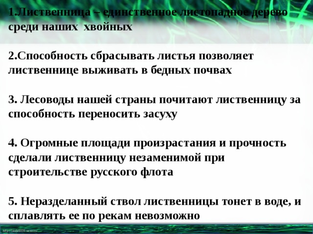 Обнулюсь что значит. Лиственница тонет в воде или нет. Почему не сплавляют лиственницу 3 класс по тексту ответ на вопрос. Почему не сплавляют лиственницу по тексту 3.