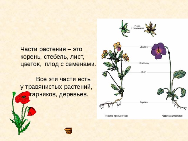 деньги в долг под расписку калининград
