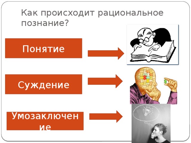 Рациональное познание презентация