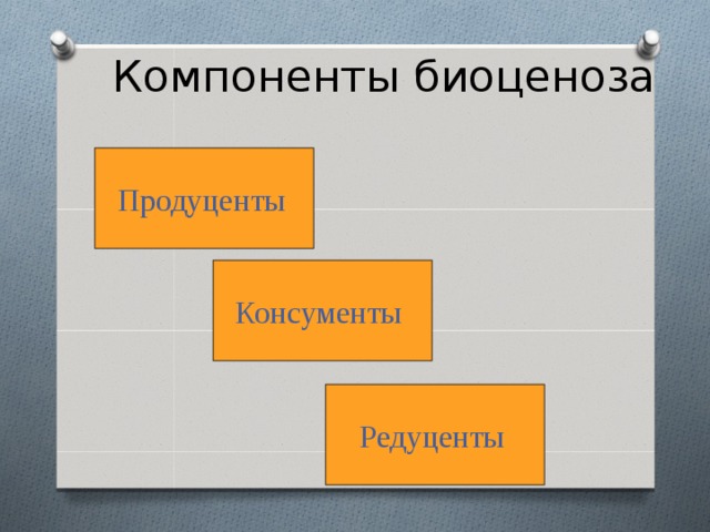 Изменение компонентов. Компоненты биоценоза. Основные компоненты биоценоза. Три компонента биоценоза. Компоненты биоценоза продуценты.