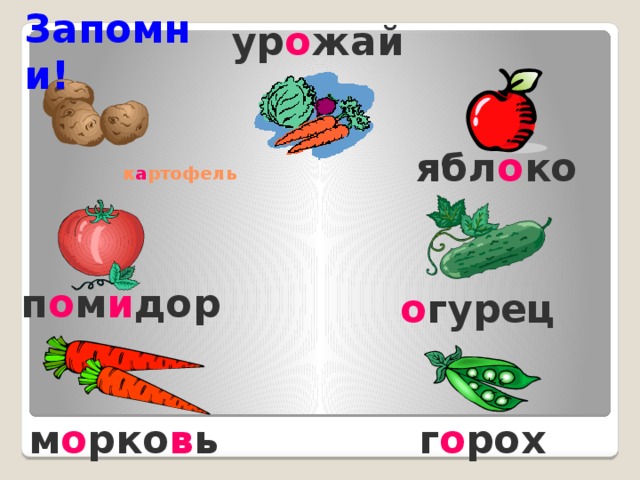 Запомни! ур о жай    ябл о ко    к а ртофель    п о м и дор   о гурец   м о рко в ь   г о рох    