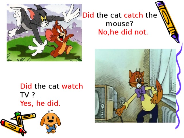 Did the cat catch the mouse? No,he did not. Did the cat watch TV ? Yes, he did. 