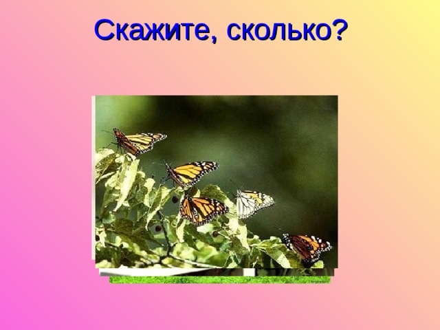 Скажите, сколько? 
