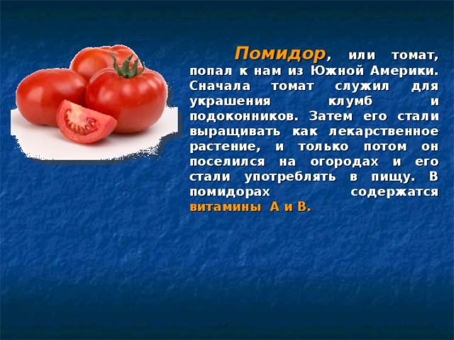  Помидор , или томат, попал к нам из Южной Америки. Сначала томат служил для украшения клумб и подоконников. Затем его стали выращивать как лекарственное растение, и только потом он поселился на огородах и его стали употреблять в пищу. В помидорах содержатся витамины А и В.  