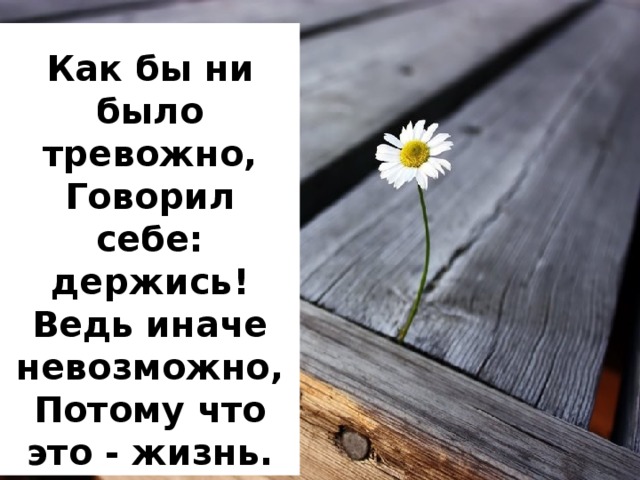 Невозможно потому что. Держись за жизнь. Как бы не было тревожно говорил себе держись. Держись цитаты. Картинки со словом держись.