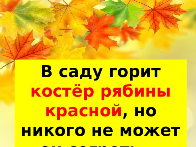 В саду горит костёр рябины красной , но никого не может он согреть … (С.Есенин) 