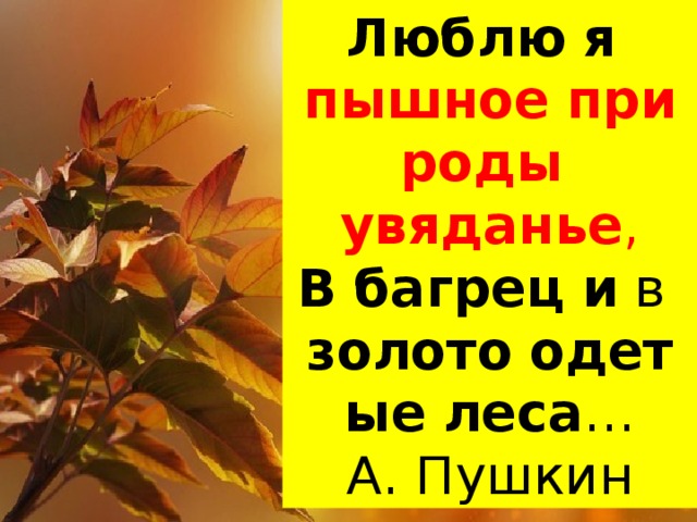 Люблю   я   пышное   природы   увяданье , В   багрец   и  в  золото   одетые   леса … А. Пушкин 