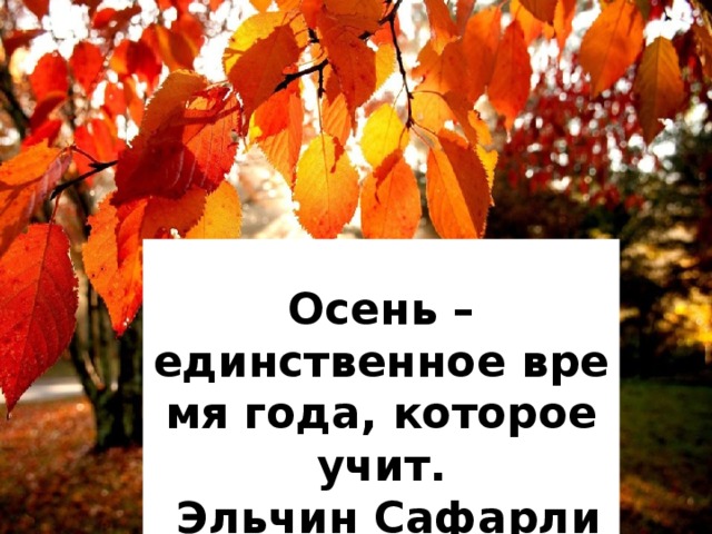 Самуил Маршак Цветная осень Цветная осень — вечер года -  Мне улыбается светло.  Но между мною и природой  Возникло тонкое стекло. Весь этот мир — как на ладони,  Но мне обратно не идти.  Еще я с вами, но в вагоне,  Еще я дома, но в пути. ***  Осень – единственное время года, которое учит.   Эльчин Сафарли  