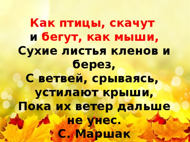 й Как птицы, скачут и бегут, как мыши,  Сухие листья кленов и берез,  С ветвей, срываясь, устилают крыши,  Пока их ветер дальше не унес. С. Маршак  