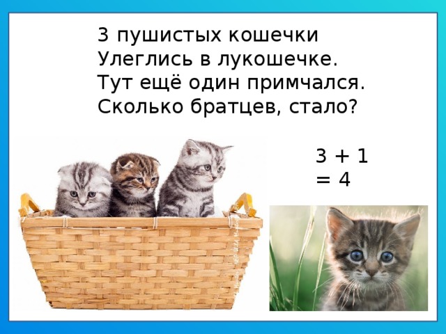 Кошки есть 3 кошки. Три кошечки в лукошечке. Три пушистых кошечки улеглись в лукошечке. Тут одна к ним прибежала.. Задача 3 пушистых кошечки улеглись в лукошечке. Загадка про котят в лукошке.