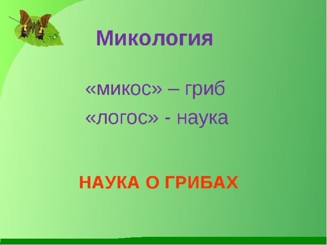 Микология презентация 5 класс